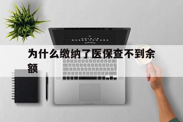 苍南最新为什么缴纳了医保查不到余额方法分析(最方便真实的苍南医保交了费怎么查不到方法)