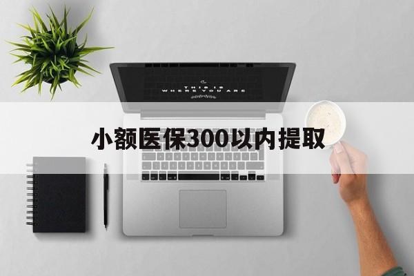 苍南最新小额医保300以内提取方法分析(最方便真实的苍南小额医保300以内提取中介方法)